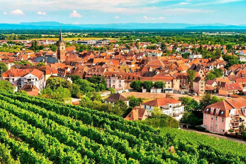 Le Carrousel - Cosy Centre Apartment Obernai