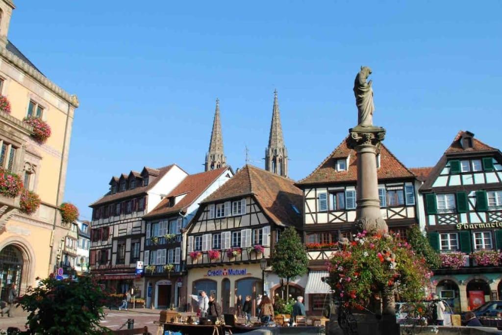 Le Carrousel - Cosy Centre Obernai